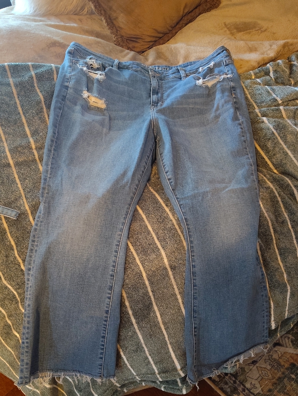 American Eagle Outfitters Light Blue Flare Leg Distressed Jeans
